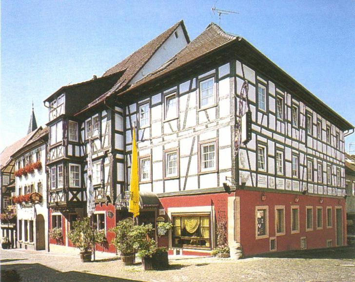 朱姆兰酒店 Gundelsheim  外观 照片